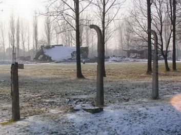 Auschwitz_11